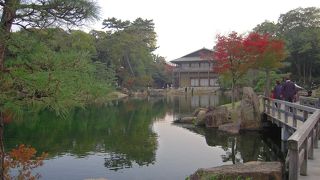 大名庭園で紅葉がきれいでした。