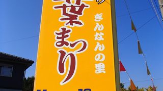 祖父江イチョウ祭