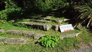 美ら島ならでは！