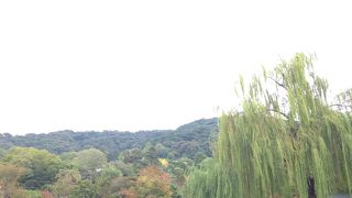 京都市内最古の公園だそうです!!