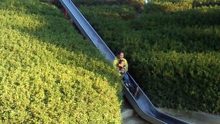 長ーい滑り台に挑戦してください。