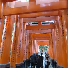 千本鳥居でできた通路