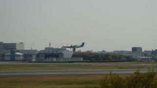 ファミリーで楽しめる