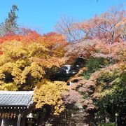 ひっそりと紅葉を楽しめるお寺。