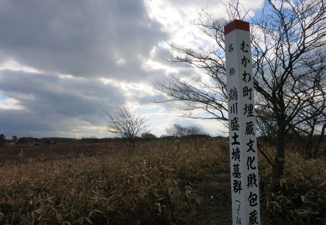 晩秋の日差し降り注ぐ小高い雑草地に