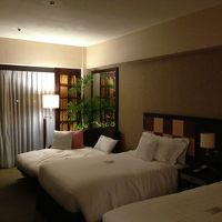 観葉植物があるとやはり良いですね。