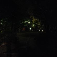 夜の園内