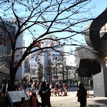 公園の片隅では路上パフォーマンスをやっている人も。