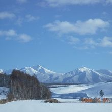 ステラからの冬景色（宿提供）