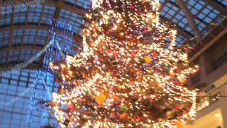 屋内アトリウムに約15ｍのジャンボツリー！