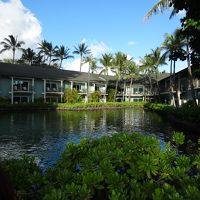 ドルフィンラグーン