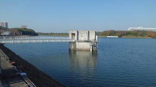 愛知用水の貯水池　１周１時間強の散歩ができます