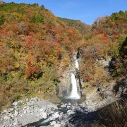 見応えがあります。