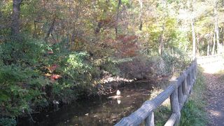 名の通りの水のきれいな憩いの場。