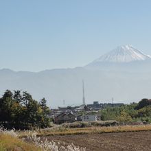 田んぼの中を歩いて行くと富士山が見えます
