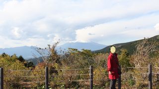 大きなレストハウス、収容人員も多そうです。