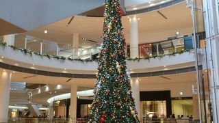 オープン５周年