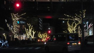 イルミネーション