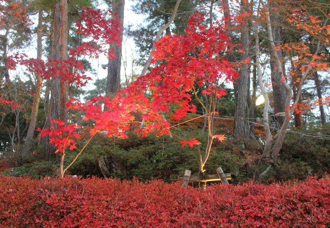 紅葉の名所