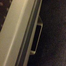 背が低い場合は座席脇のここに載ると便利です。