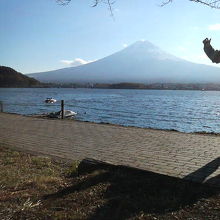 富士山を静かに堪能しながら散歩できます。