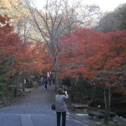 たつのの紅葉の名所