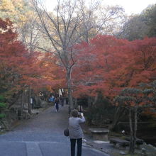 東山公園