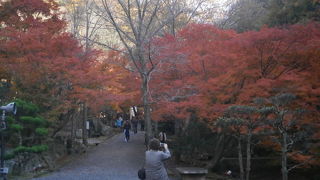 東山公園