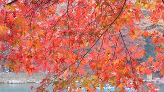 今年も紅葉が見頃になりました。