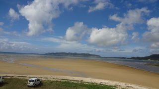 海岸沿いにマングローブの群生があります。