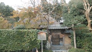 柿が実っていました