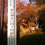 敷島神社内にあります