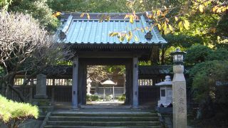 蒙古と深いかかわり