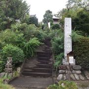 萩寺（長瀞七草寺）の９月上旬の開花状況