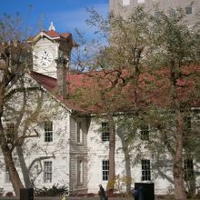 市役所側から撮影