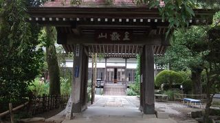 藤袴寺（長瀞七草寺）の９月上旬の開花状況