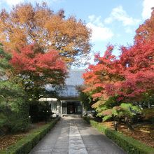 美術館に至る通路は紅葉がきれいでした