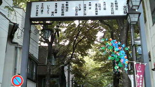 雑司ケ谷の見事な枝ぶりで涼しげな並木道