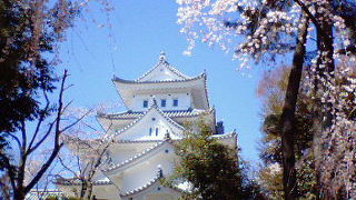 春は桜に包まれる水の都・大垣の名城