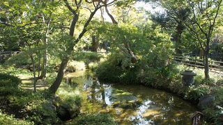 都会では考えられないくらいの静寂な空間