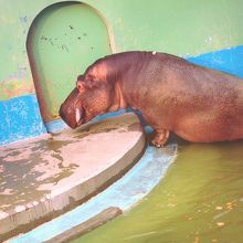 陸に上がったら気をつけて！