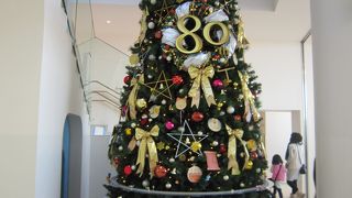 小さな子供連れでも楽しめます♪