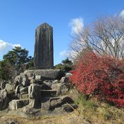 コアブラツツジ（ドウダンツツジ）の自生地　紅葉です