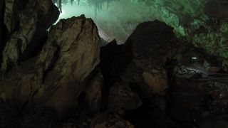 ジュラシックパークみたい