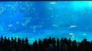 綺麗だけど激混み！