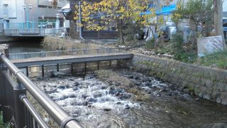 流れに晩秋を感じる