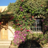 客室は全室コテージタイプ☆