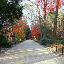 下賀茂神社へ続く参道