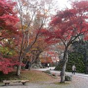 紅葉と美味しい空気を満喫。