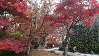 紅葉と美味しい空気を満喫。